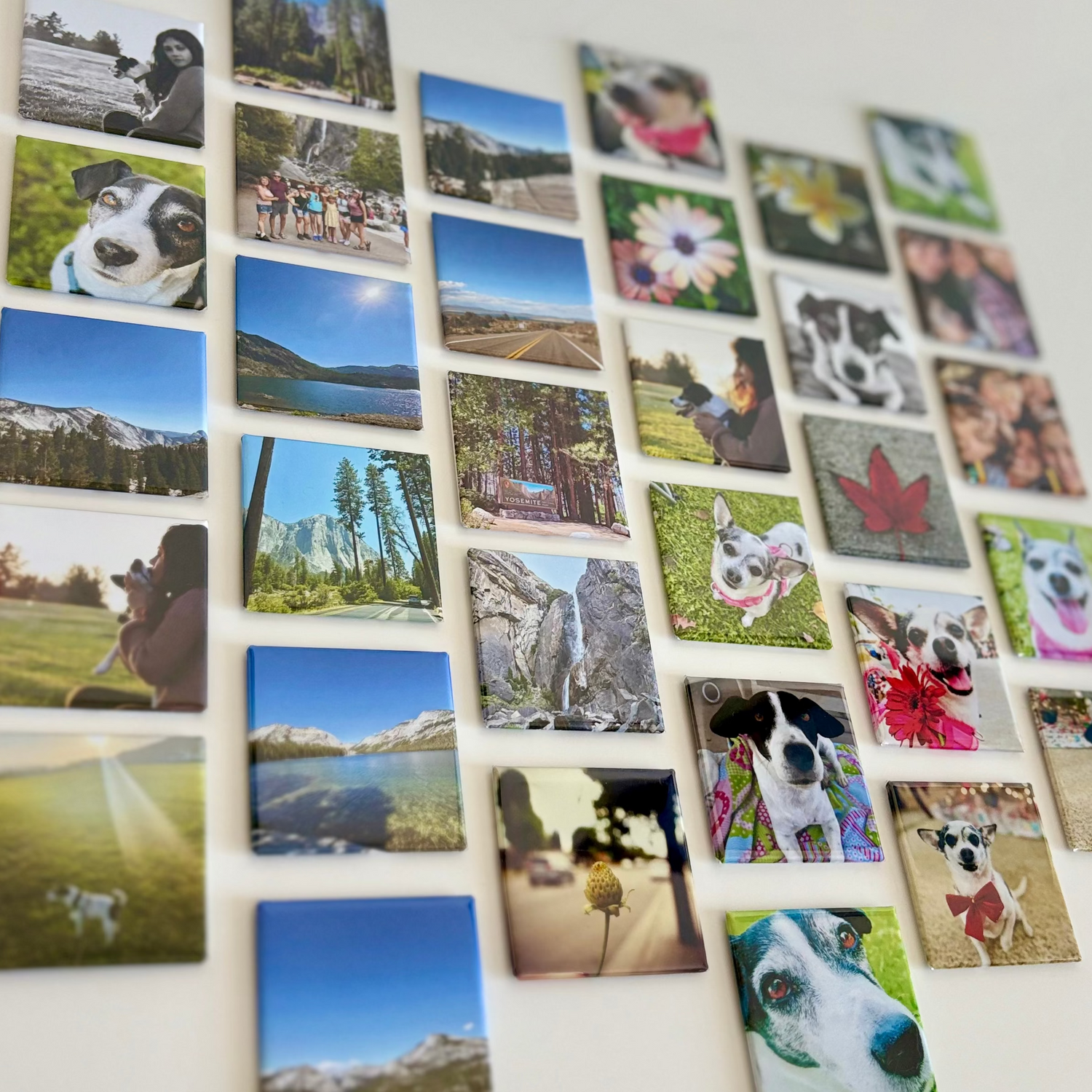 Custom Photo Magnets